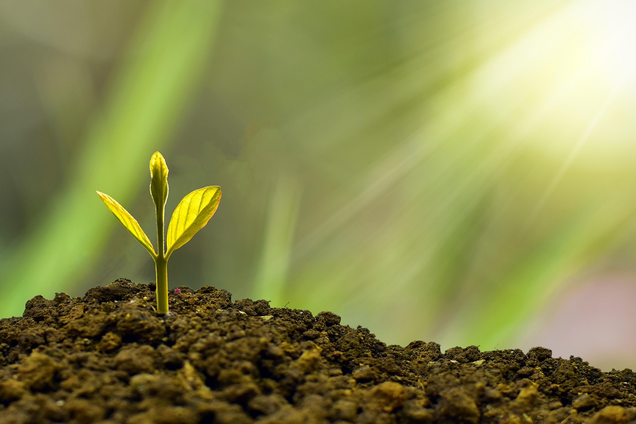 découvrez les étapes clés et les meilleures pratiques pour réussir la succession d’entreprise : conseils, stratégies et solutions pour assurer la pérennité de votre business.