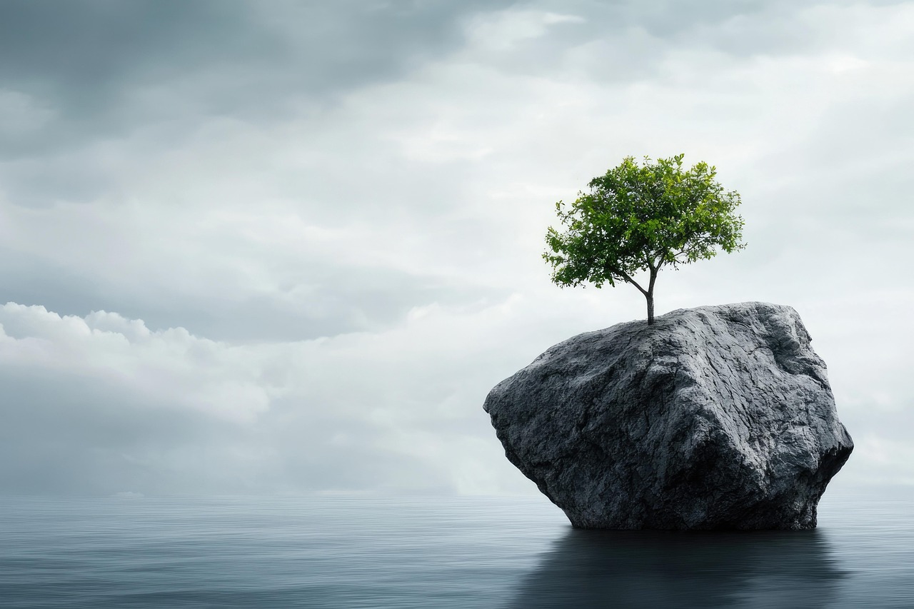 découvrez comment développer la résilience entrepreneuriale pour surmonter les défis, rebondir face aux obstacles et réussir durablement dans l'entrepreneuriat.